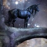 The Binary Dark Horse